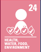 Image shows the United Nations rights of the child number 24 health, water, food, environment